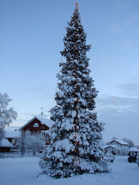 Weihnachtsbaum in Luleå